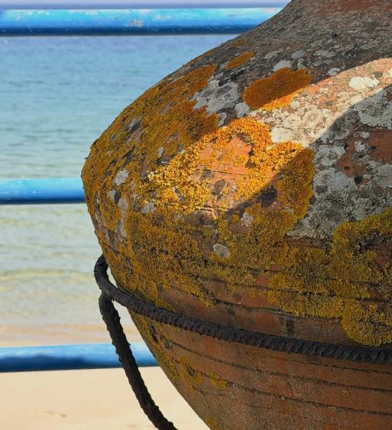 Ancient-style clay amphora covered in yellow lichen overlooking the Aegean Sea in Thassos.